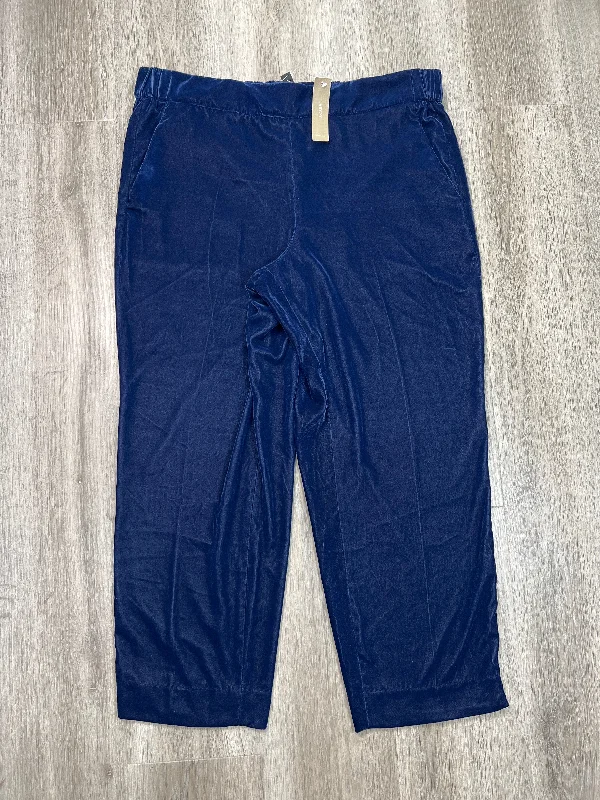 Rugged ripstop pants for extreme adventure durability -Pants Dress By J. Crew In Blue, Size: Xl