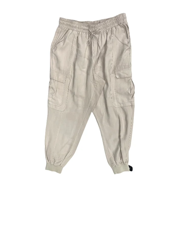 Heavy-duty ripstop pants for extreme hiking durability -Pants Cargo & Utility By Inc  Size: Xl